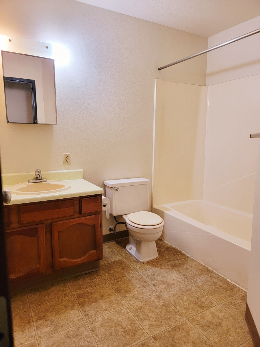 Blue-Ridge-Apartment-Bathroom